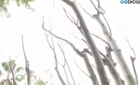 Blonde MILF torments innocent young brunette a passionate lesbian encounter